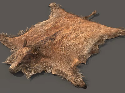 Natural Reptile Skin Display With Detailed Scales And Textured Surface 3d model