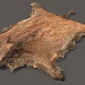 Natural Reptile Skin Display With Detailed Scales And Textured Surface