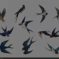 Vibrant Swallows with Diverse Flying Poses and Colorful Feather Patterns