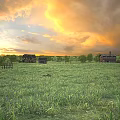 Beautiful Golden Sunset Rural Landscape With Vast Green Meadow Old Rustic Houses And Distant Trees