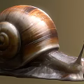 Reptile Snail Featuring Spiral Brown Shell And Extended Tentacles On Surface 3d model