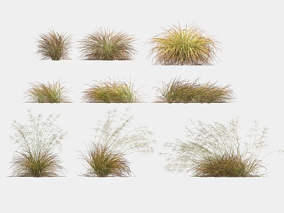 Flowers and plants landscape grass weeds dead grass weeds 3d model