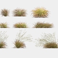 Flowers and plants landscape grass weeds dead grass weeds 3d model