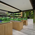 Modern Aquarium Showroom Interior With Multiple Fish Tanks And Aquatic Plants