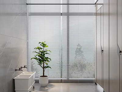 Modern Public Restroom With Sink Plant And Blinds 3d model