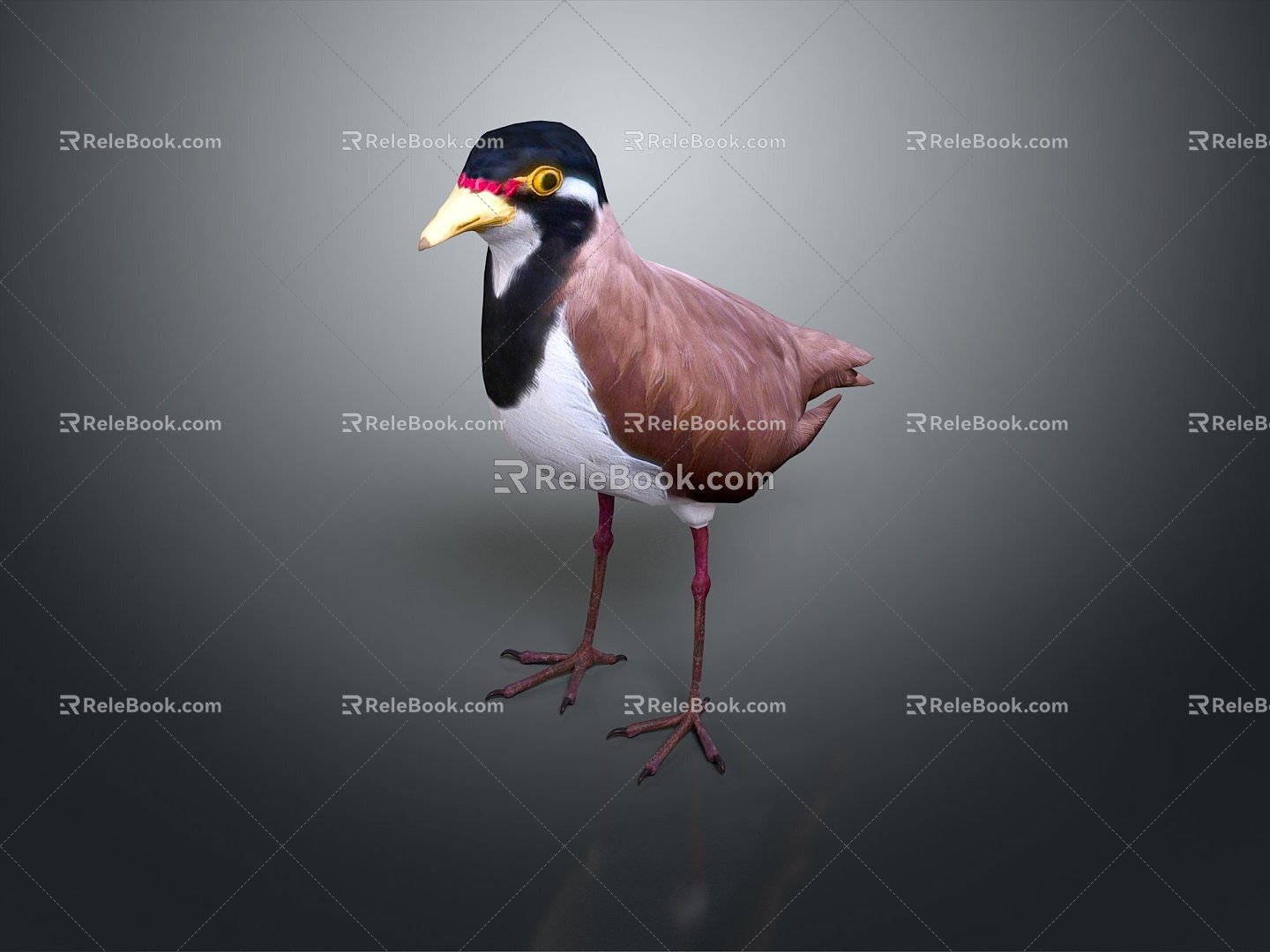 bird bird bird bird game animal cartoon animal animal realistic animal 3d model