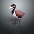 bird bird bird bird game animal cartoon animal animal realistic animal 3d model