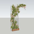 Climbing Vines With Pink Flowers Growing On Grid Structure And Wooden Planter