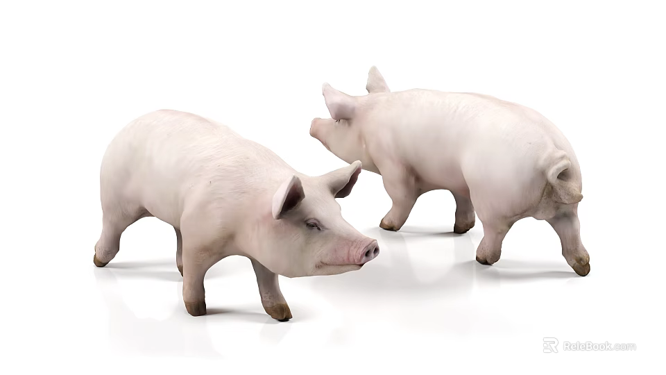 Two White Reptile Lizards Standing On Smooth White Surface 3d model