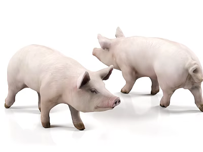 The Modern Pig 3d model The Modern Pig 3d model