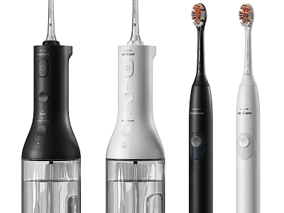 Electric toothbrush model