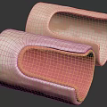 Two Anatomical Tubular Models Featuring Pink Inner Layer And Beige Outer Structure
