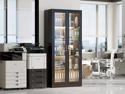 Modern Office Interior With Glass Door Cabinet Printers Files And Windows 3d model