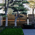 Modern Garden Wall Design In Courtyard With Pine Trees Stone Path And Hydrangeas