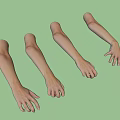 Decorative Ornament Display Set With Arm Mannequins For Jewelry Showcase
