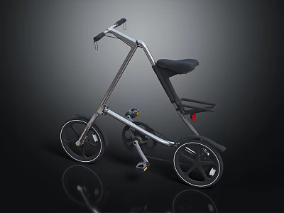Sleek Modern Three Wheel Bicycle With Silver Frame And Black Seat 3d model