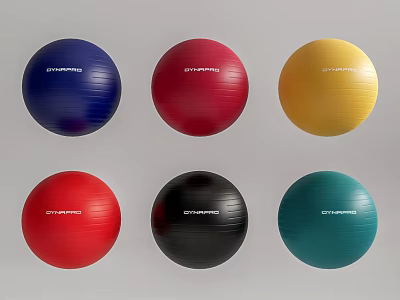 GYMREPUBLIC Fitness Balls In Various Colors For Sports Training And Exercise 3d model