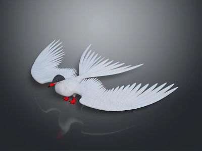 Flying Bird with White Plumage Spread Wings Red Legs and Black Head 3d model