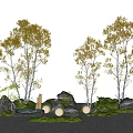 Modern autumn birch tree plant combination street tree garden tree birch tree 3d model