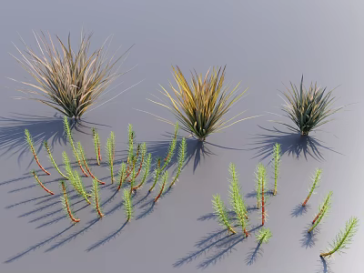 Diverse Grass Plants in Green and Golden Tones With Slender Leaves and Shadows 3d model