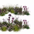 Mixed Plant Combination with Purple Flowers Green Grasses and White Blooms for Garden