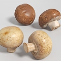 Modern Mushroom Shiitake 3d model