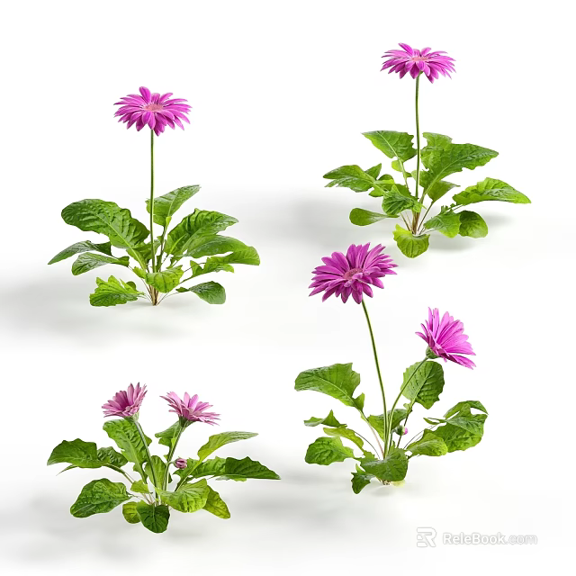 Beautiful Purple Daisy Flowers With Fresh Green Leaves And Lush Plants 3d model 