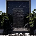 Outdoor Water Feature Wall With Flowing Water And Black Stone Structure Surrounded By Green Plants