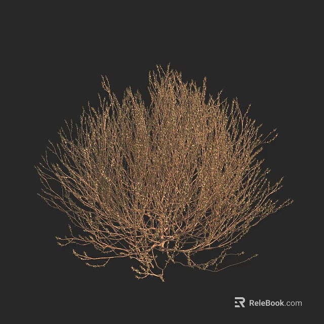 Dry Shrub With Thin Branches In Rounded Shape On Dark Background 3d model