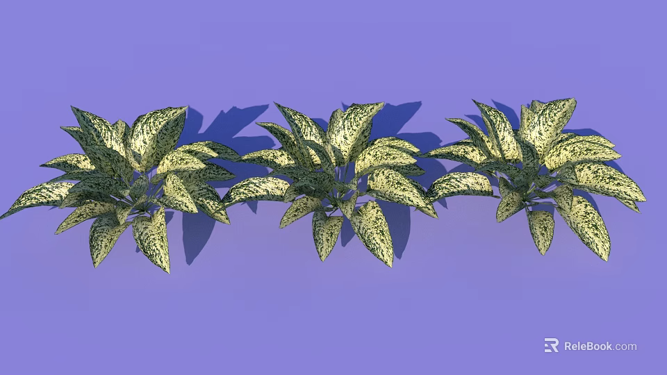 Three Potted Green Houseplants With Yellow Spotted Leaves On Purple Background 3d model 