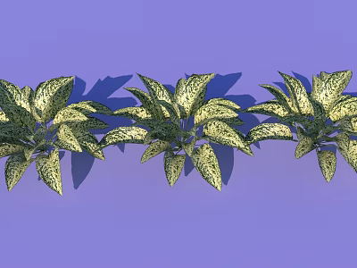 Three Potted Green Houseplants With Yellow Spotted Leaves On Purple Background 3d model