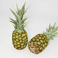 Modern Pineapple 3d model