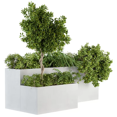 Bonsai Plants In White Planter With Various Green Shrubs And Decorative Tree Shape 3d model