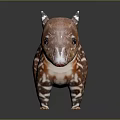Baby Tapir With Brown And White Stripes Standing As Toy Figurine On Black Background