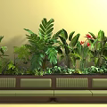 Tropical Plant Combination Against Light Brown Wall With Green Bench Large Leaves And Red Flowers