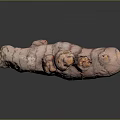 Fresh Purple Ginger Root with Natural Pinkish Skin and Textured Surface on Dark Background