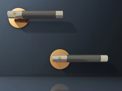 Modern Gray Door Handles With Gold Round Base On Dark Blue Wall 3d model
