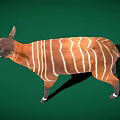 Realistic Full Body Brown And White Striped Tapir Standing On Green Background