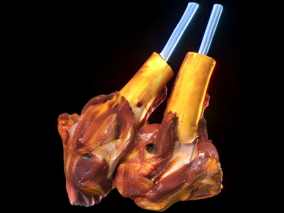Roasted Bone In Chicken Drumsticks With Golden Brown Skin And Sauce On Black Background 3d model