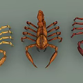 Three Different Colored Reptile Scorpions with Curved Tails and Claws
