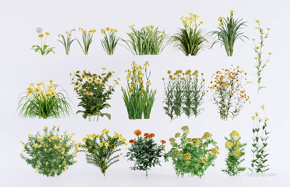 Various Types of Flowers and Green Plants with Yellow White Blooms and Foliage 3d model 