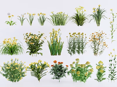 Various Types of Flowers and Green Plants with Yellow White Blooms and Foliage 3d model