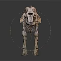 Anatomical Elephant Skeleton Structure Display For Educational Or Research Use