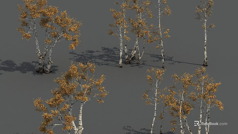 Birch Trees With Yellow Leaves And White Trunks On Gray Ground 3d model 