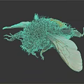 Close Up View Of Black And Yellow Fuzzy Bee With Transparent Wings Flying Insect 3d model