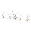 Different Types Of Small Herbal Plants With Slender And Bushy Leaves On White Background