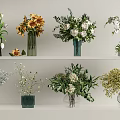 Beautiful Multiple Flower Vases with Various Floral Arrangements on White Shelves