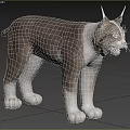 3D Rendered Lynx In Outdoor Natural Environment