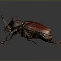 Large Red Brown Beetle With Horned Head And Shiny Exoskeleton 3d model