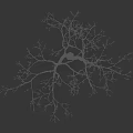 Leafless Tree With Slender Trunk Spreading Branches And Human Figure Holding Object On Dark Background 3d model